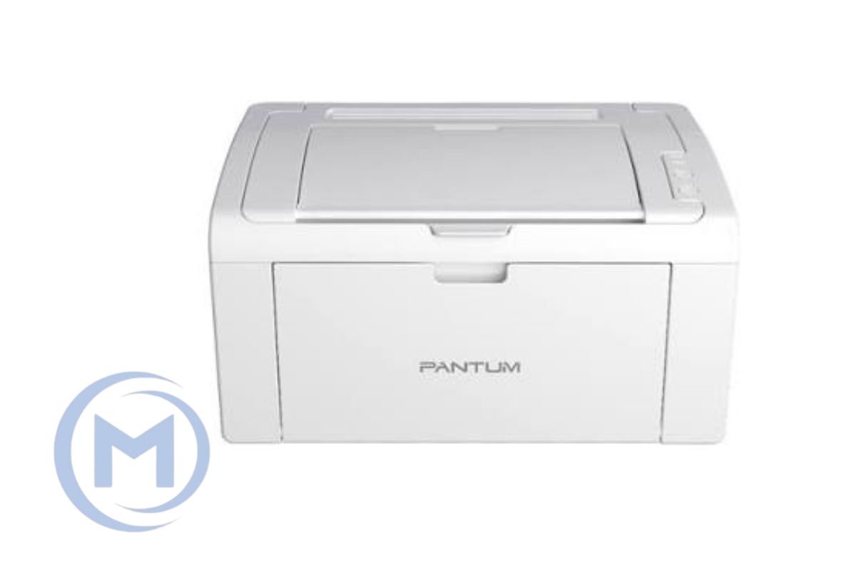 Pantum P2503W (1200х1200 dpi, ч/б, 22 стр/мин, USB) White WiFi